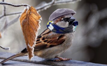 Jak ogrzać pokój za darmo?