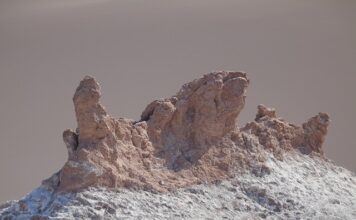 Który zapach jest najmniej trwały?