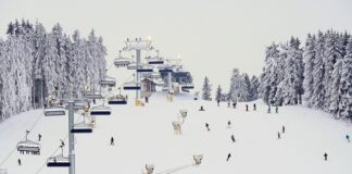 Jak często ostrzyc krawędzie w snowboardzie?