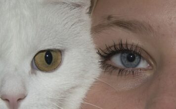 Co oznacza membrana 8000?