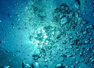 Ile kosztuje profesjonalny sprzęt do nurkowania?