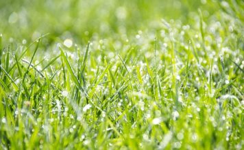 Jak powstały odblaski?