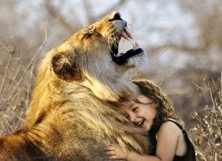 Co jest lepsze Sachol czy Dezaftan?