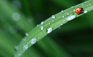 Z czego najlepsza jest pościel?
