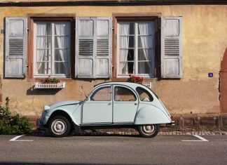 Ile kosztuje mała kaczka? Ile kosztuje mała kaczka?